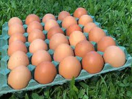 15 Huevos Camperos Onofer, Lujan