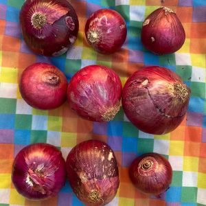 Cebolla morada agroecológica x 1 kg