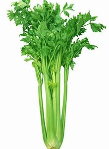 Apio agroecológico x 1/4 Kg